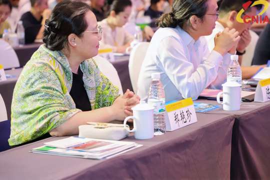 山東華鵬精機股份有限公司董事長王毅在2024年（第十六屆）中國鋁用炭素年會暨碳材料發(fā)展論壇上的講話